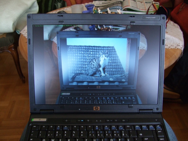 Ostern 2007 Orleshausen 142 